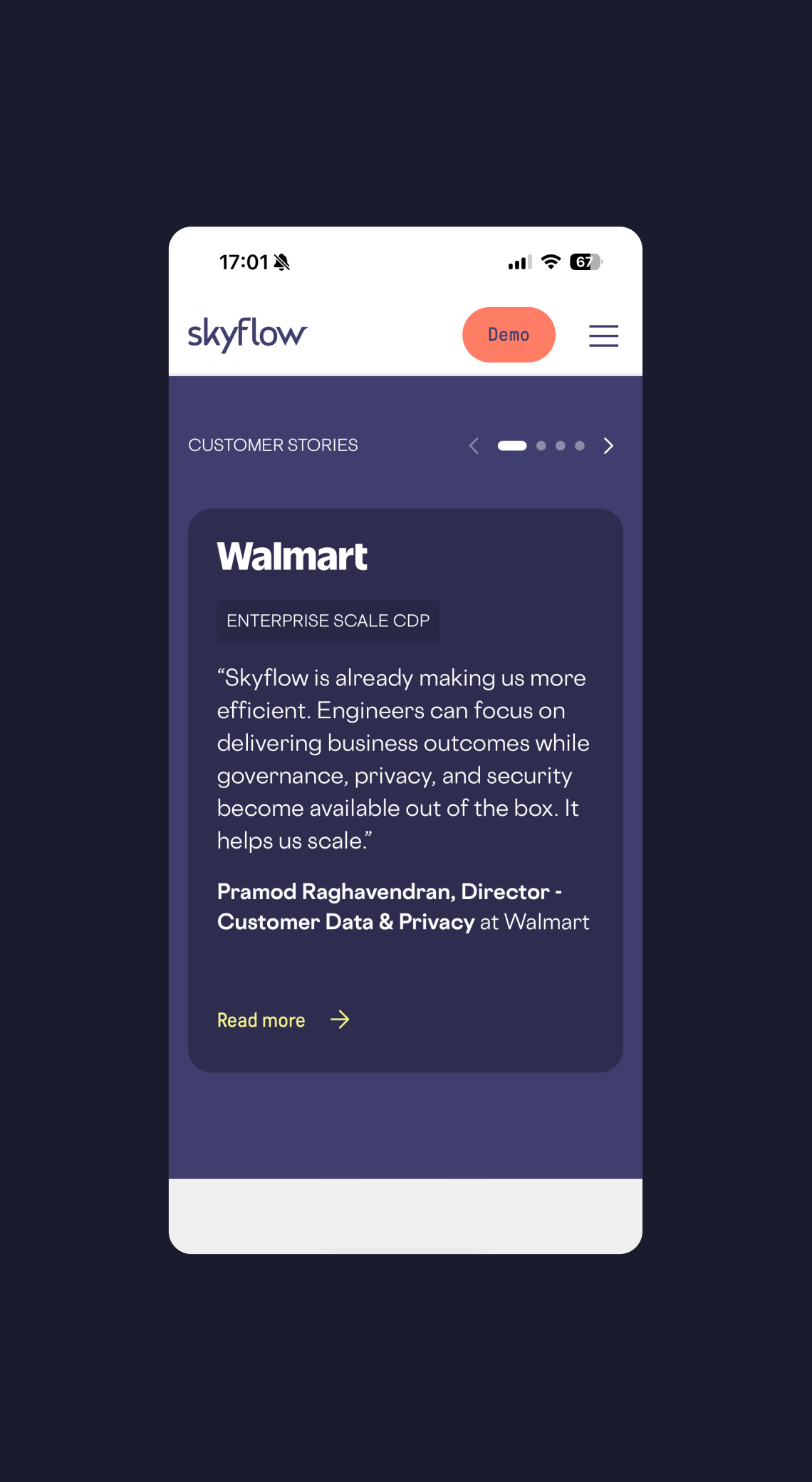 Skyflow project image