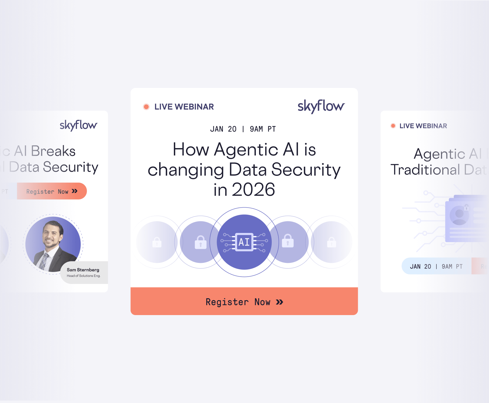 Skyflow project image